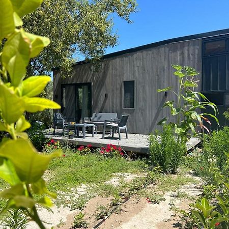 Tiny House Framed By Nature Near Sea In Karaburun Villa อิซมีร์ ภายนอก รูปภาพ